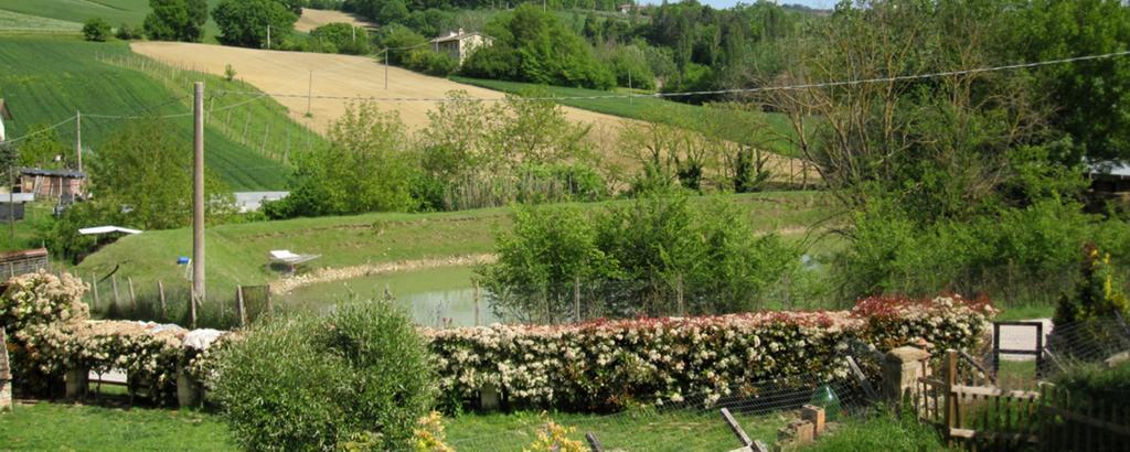 La Pietra Rara B&B Монтоне Екстериор снимка