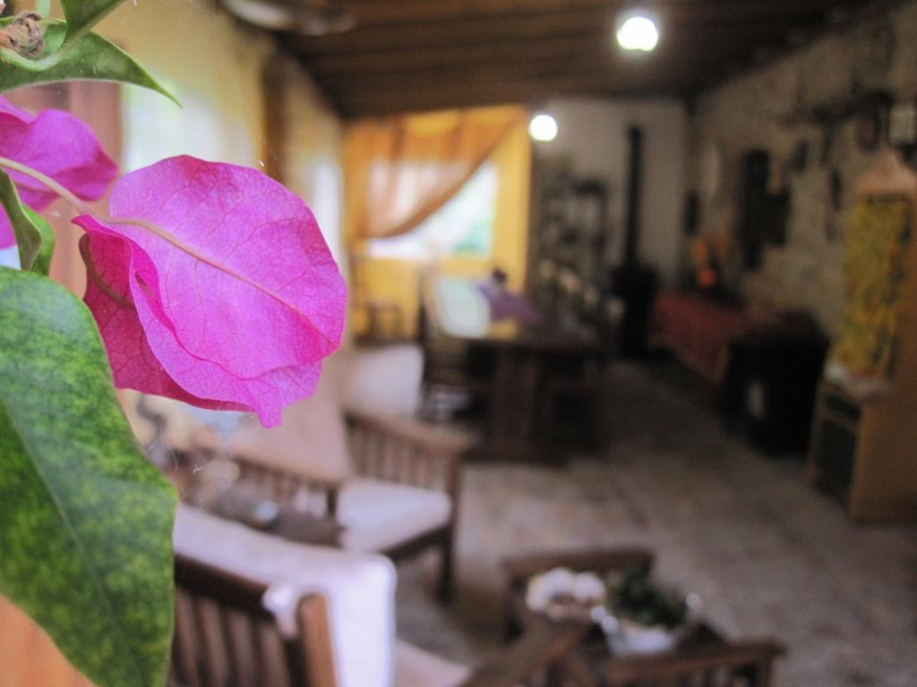 La Pietra Rara B&B Монтоне Екстериор снимка