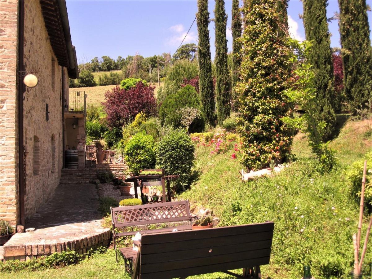 La Pietra Rara B&B Монтоне Екстериор снимка