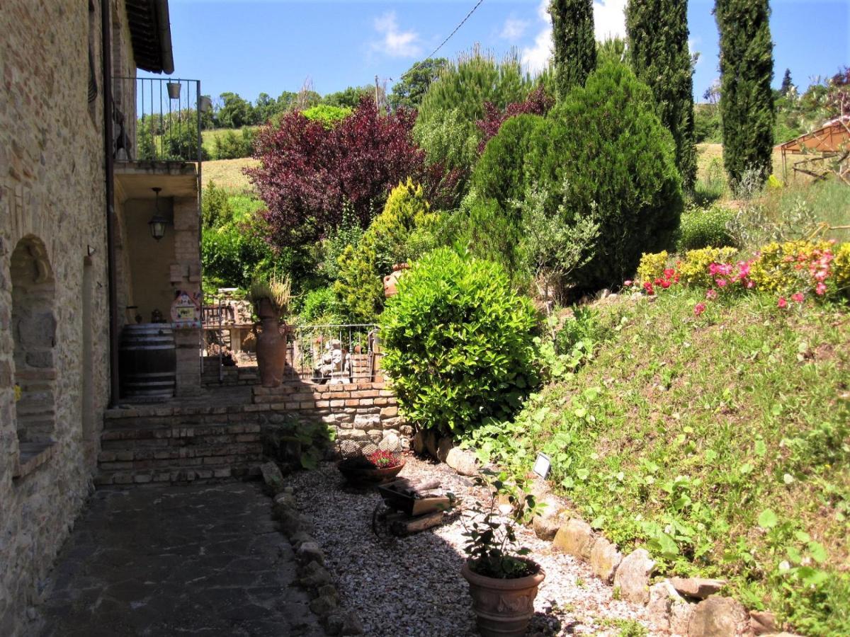 La Pietra Rara B&B Монтоне Екстериор снимка