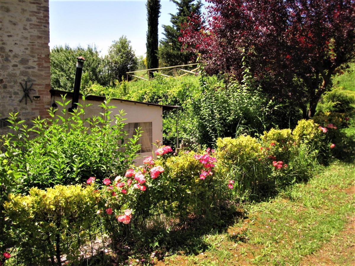 La Pietra Rara B&B Монтоне Екстериор снимка